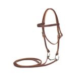 Bridles and Halters